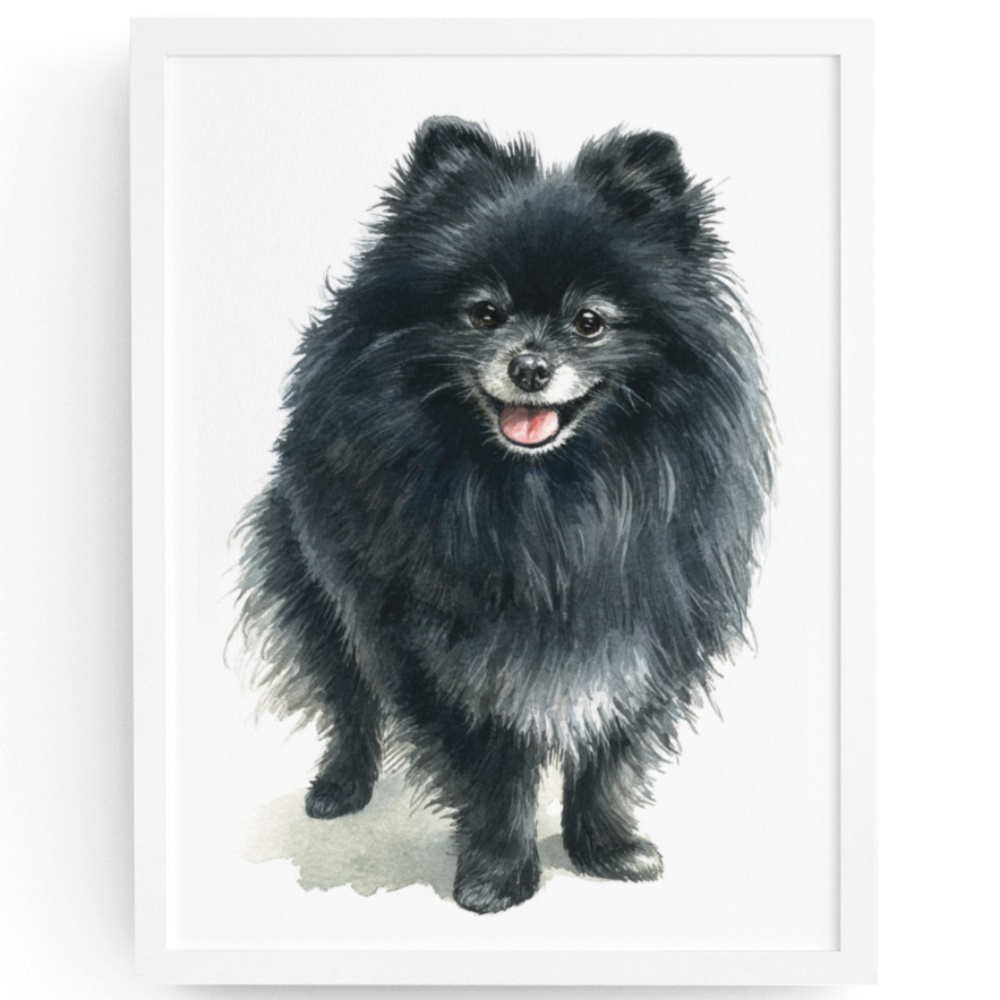 Watercolor Black Pomeranian Dog Portrait Art Print – Unframed Fine Art Poster